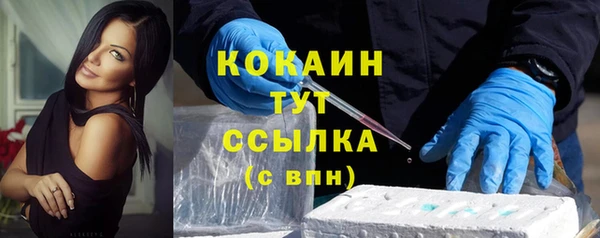 шишки Заволжье