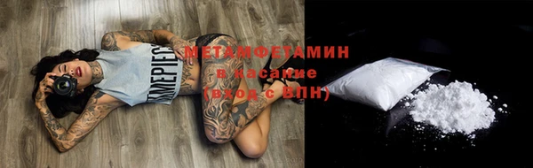 шишки Заволжье
