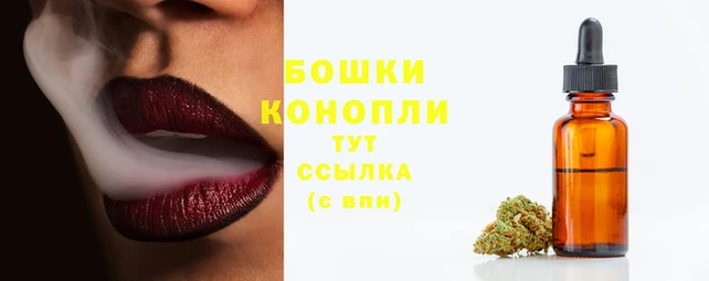 круглые Ельня