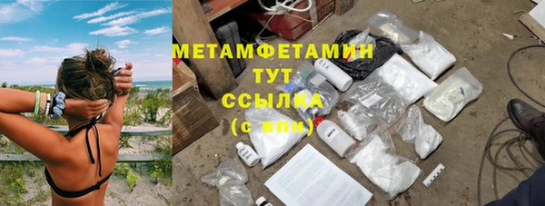 шишки Заволжье