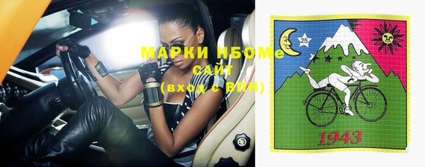 шишки Заволжье