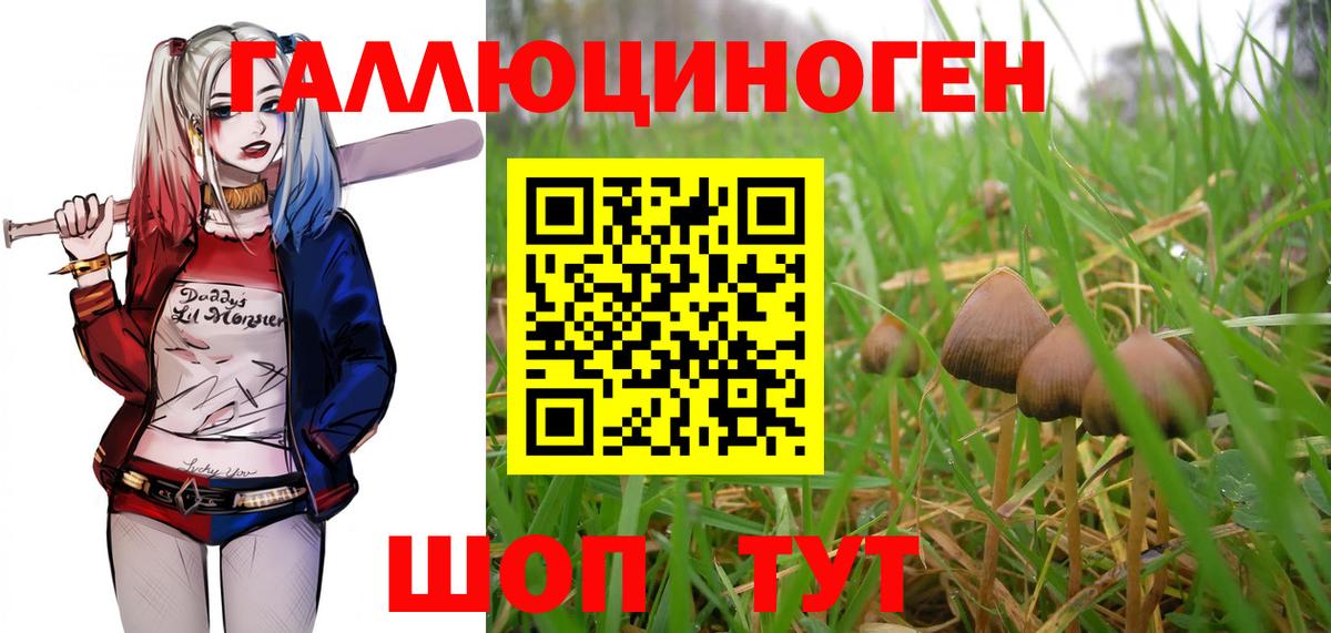 Ирбит  Псилоцибиновые грибы Magic Shrooms  Псилоцибиновые грибы Psilocybine cubensis  Вход с VPN 