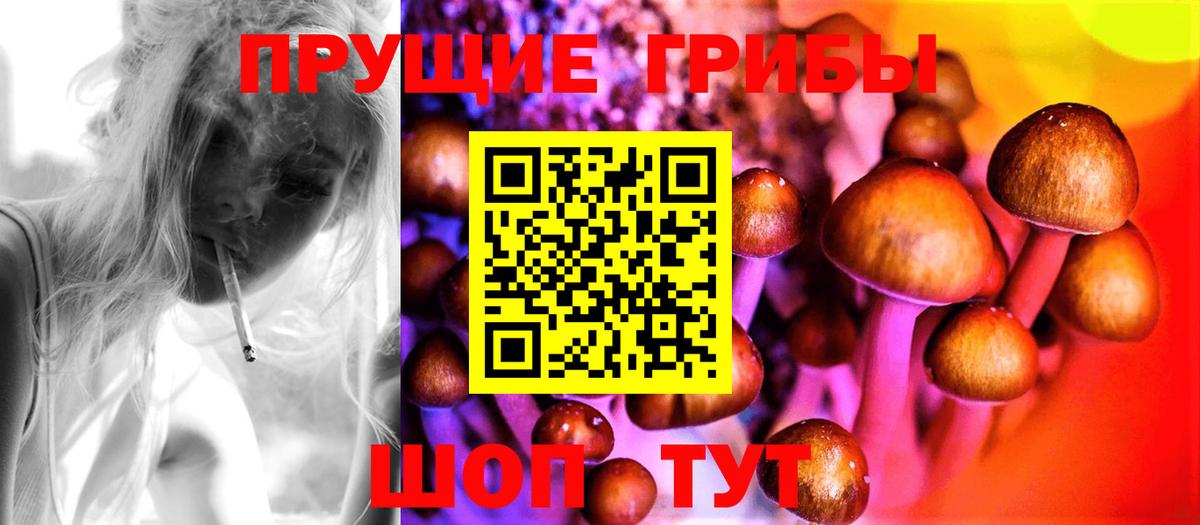 Псилоцибиновые грибы Cubensis Ирбит